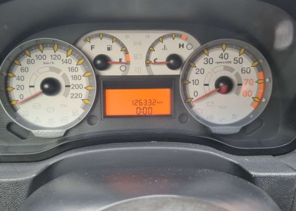 Fiat Palio Wekkend