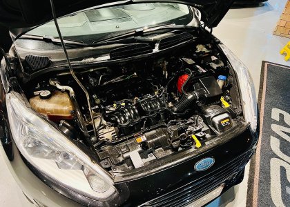 Ford New Fiesta